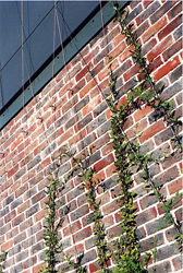 Westergate Business Park