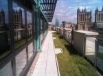 Horizon House green roof