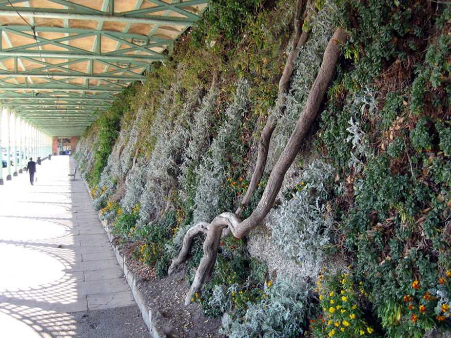Green wall at Marine Drive, Brighton