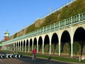 Green wall on cliff face in Brighton