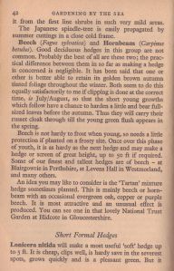 Japanese Privet - Description From 'Gardening By The Sea' P.42