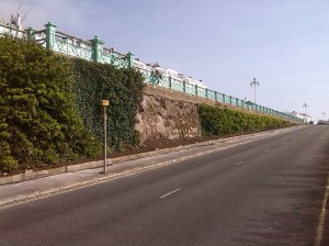 Building Green image of green wall