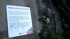 Madeira Drive green wall