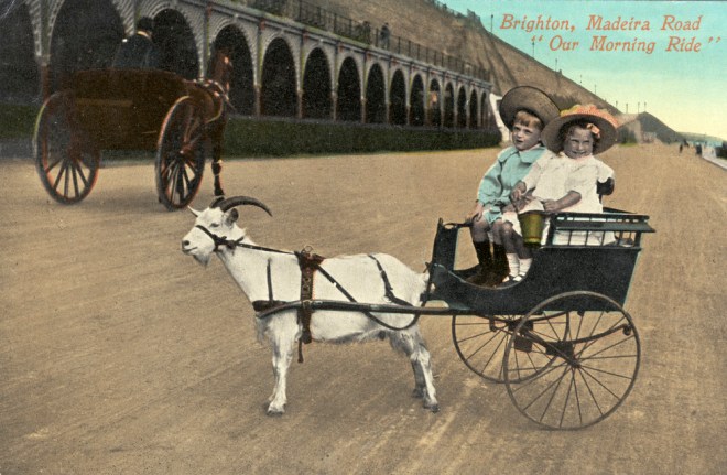 Goat cart rides on Madeira Drive! Royal Pavilion & Museums, Brighton & Hove