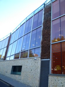 Amex green walls have died