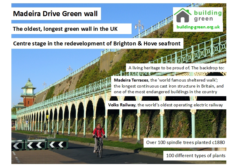 Madeira Drive A5 leaflet Building Green 1509