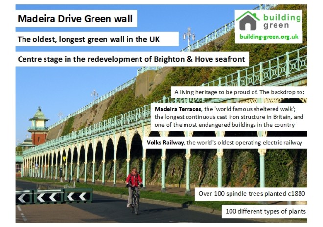 Madeira Drive A5 leaflet Building Green 1509