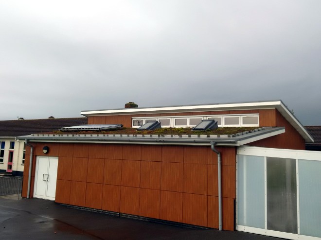 Eastbrook Primary Academy, Southwick - a living roof