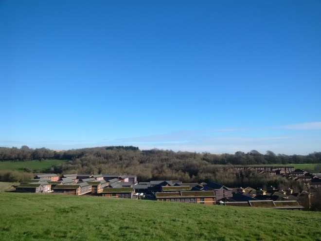 Several steep sloping green roofs are an obvious feature of Northfields student housing