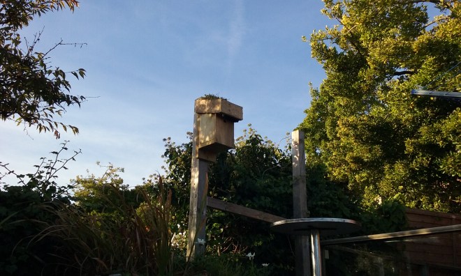 Green roofed bird box installed in a garden