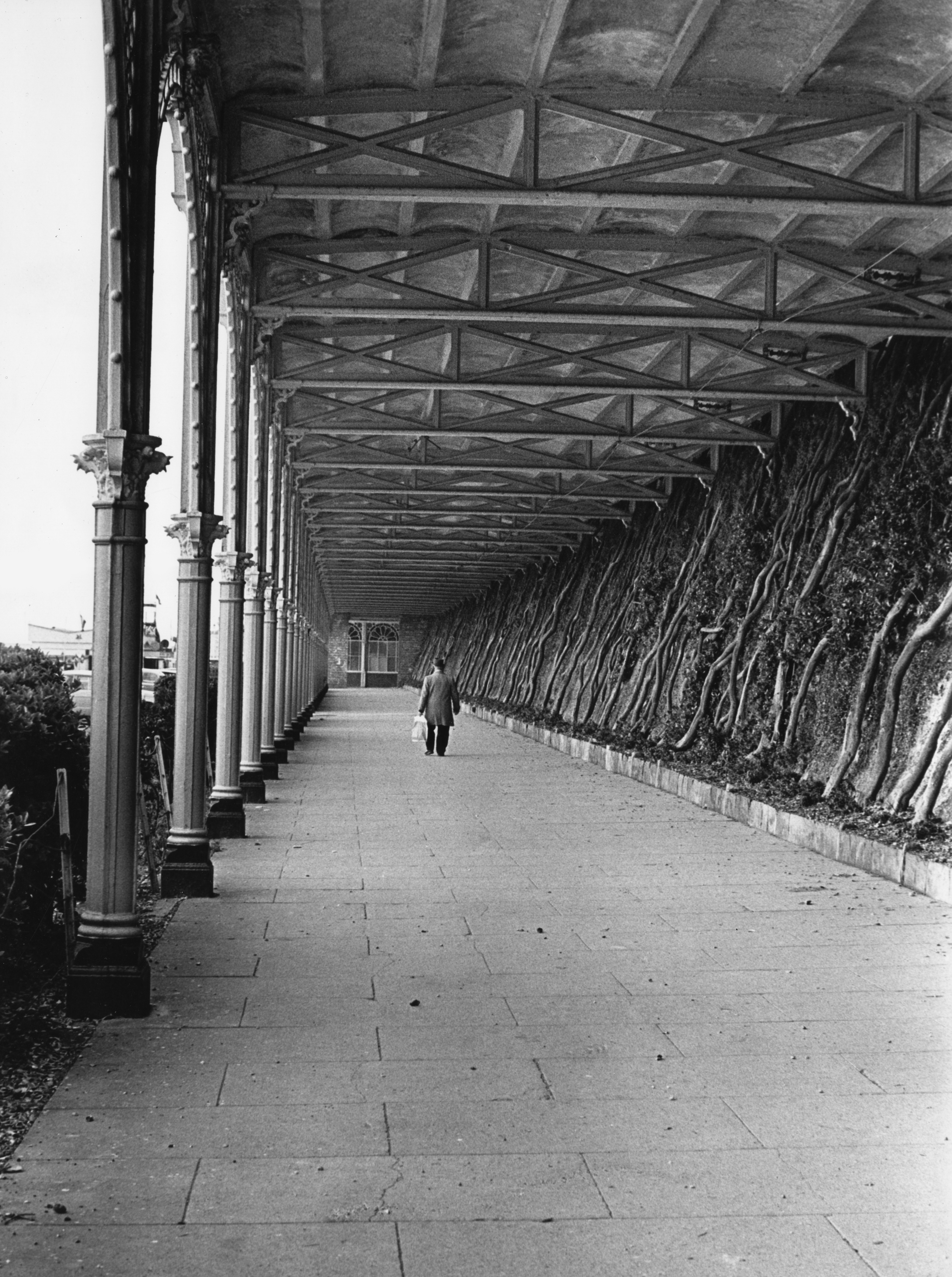 brightonmadeiradrive1985-paul-norman