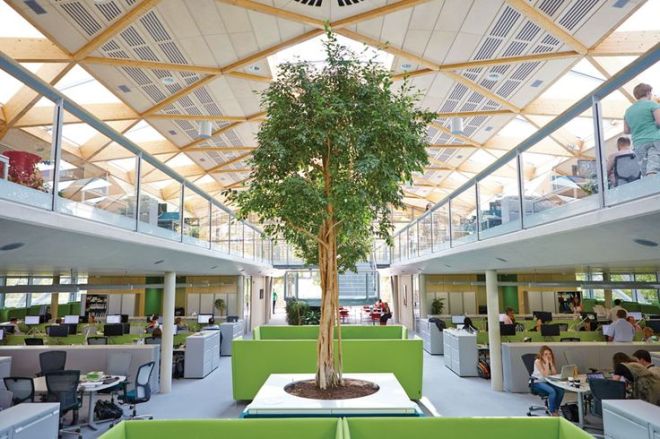 1dcb31e10671a8cd8648ab5a6484155b