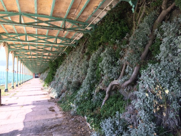 We need your photos and videos! Work starts on film of Madeira Drive and the history of Brighton & Hove’s connection with&nbsp;nature