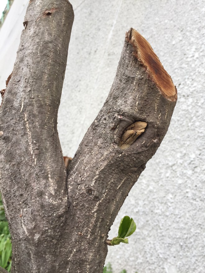 9b14362f-001e-42ee-be9d-7c287b631f68