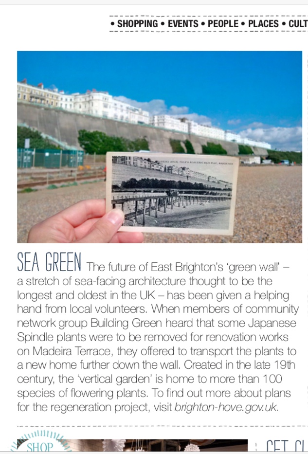 bff39559-aae0-4bb8-b2f7-e235adca13a8