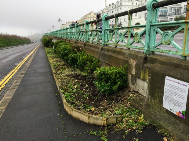 Update from Building&nbsp;Green