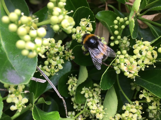 5B63BFE2-0C9A-4D92-8A8B-BDE4F9EEE284