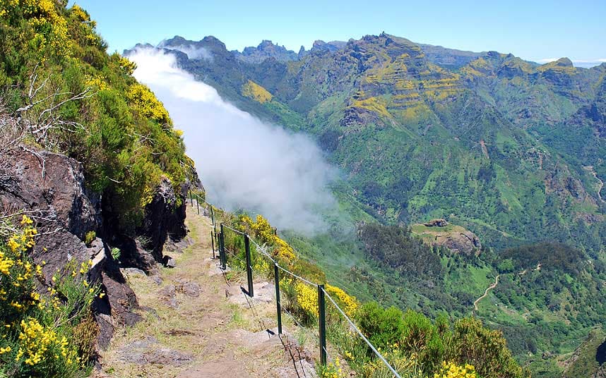 madeira-cliff_2517649a