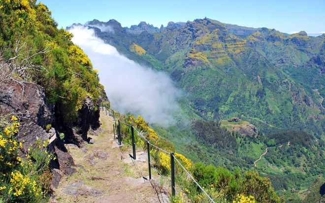 madeira-cliff_2517649a