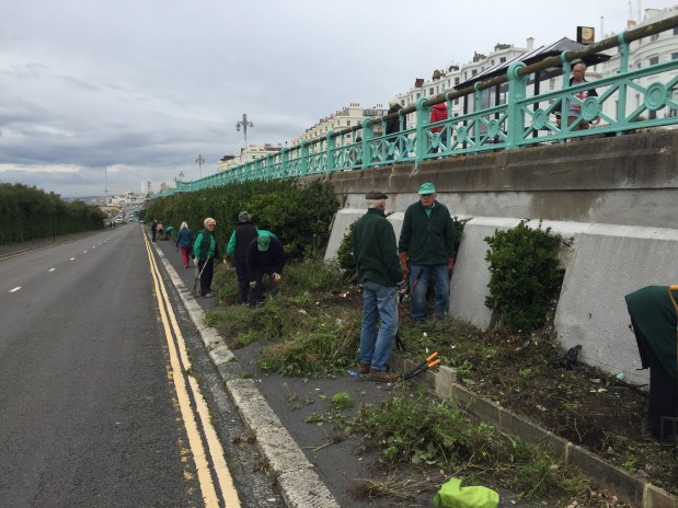 Unlocking care for the Madeira Drive Green&nbsp;Wall