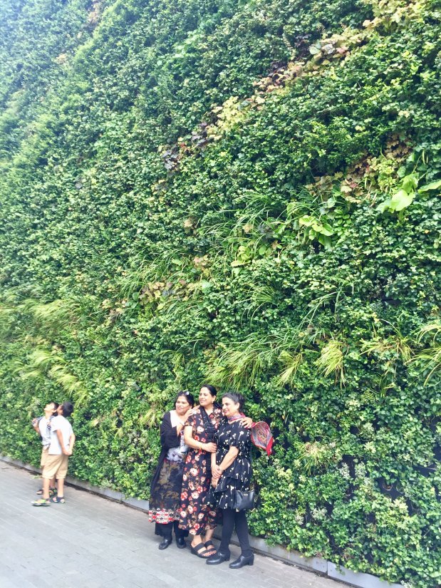 Green walls – why&nbsp;bother?