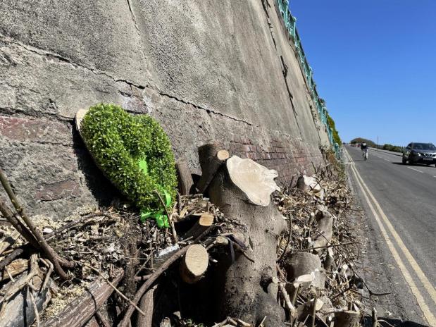 Work to start this week to maintain the Madeira Drive Green Wall at the Volks Workshop, Duke’s&nbsp;Mound