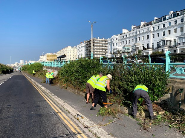 The Gym is back in town! Volunteers revisit the Madeira Drive green wall for the first time since the&nbsp;pandemic