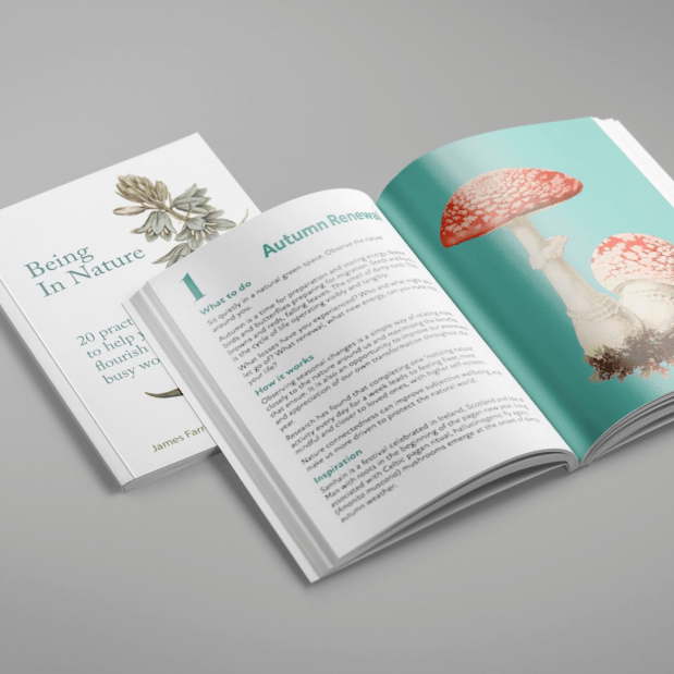 Building Green Founder James Farrell publishes book to help people connect to&nbsp;nature