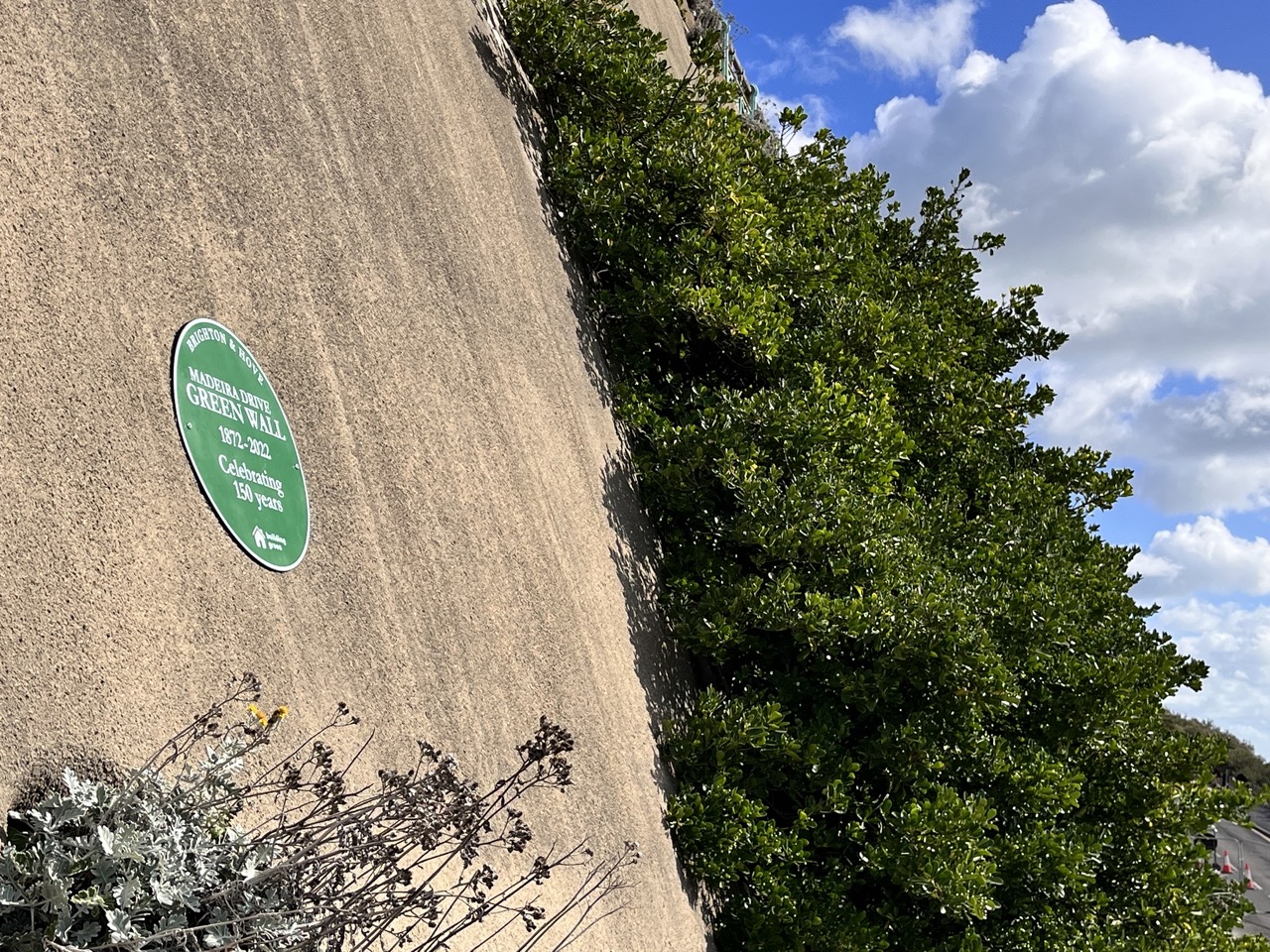 Green plaque on wall with green plants